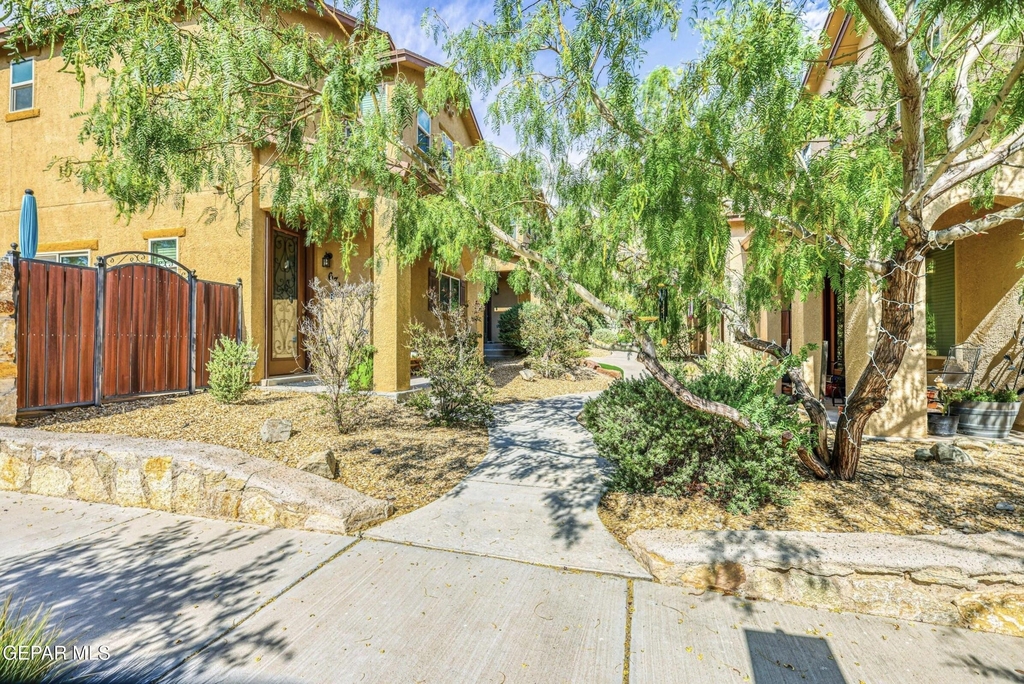 6723 Boulder Canyon Lane - Photo 5