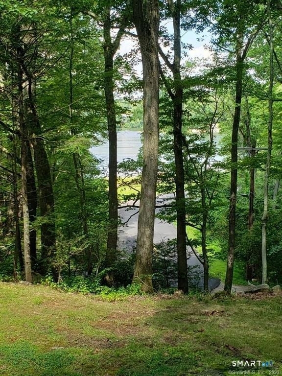 69 Carol Street - Photo 1