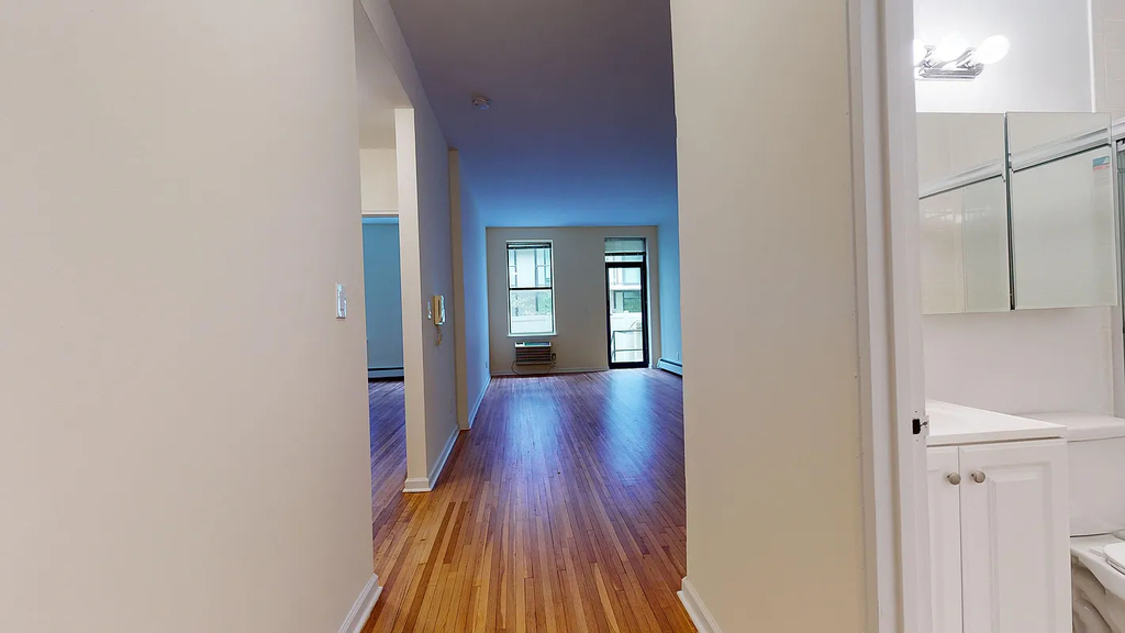 365 West 52nd Street - Photo 6