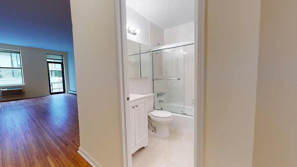 365 West 52nd Street - Photo 3