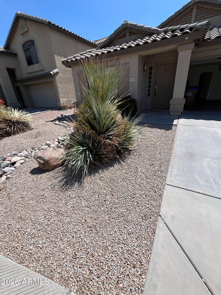 29429 N Blackfoot Daisy Drive - Photo 1