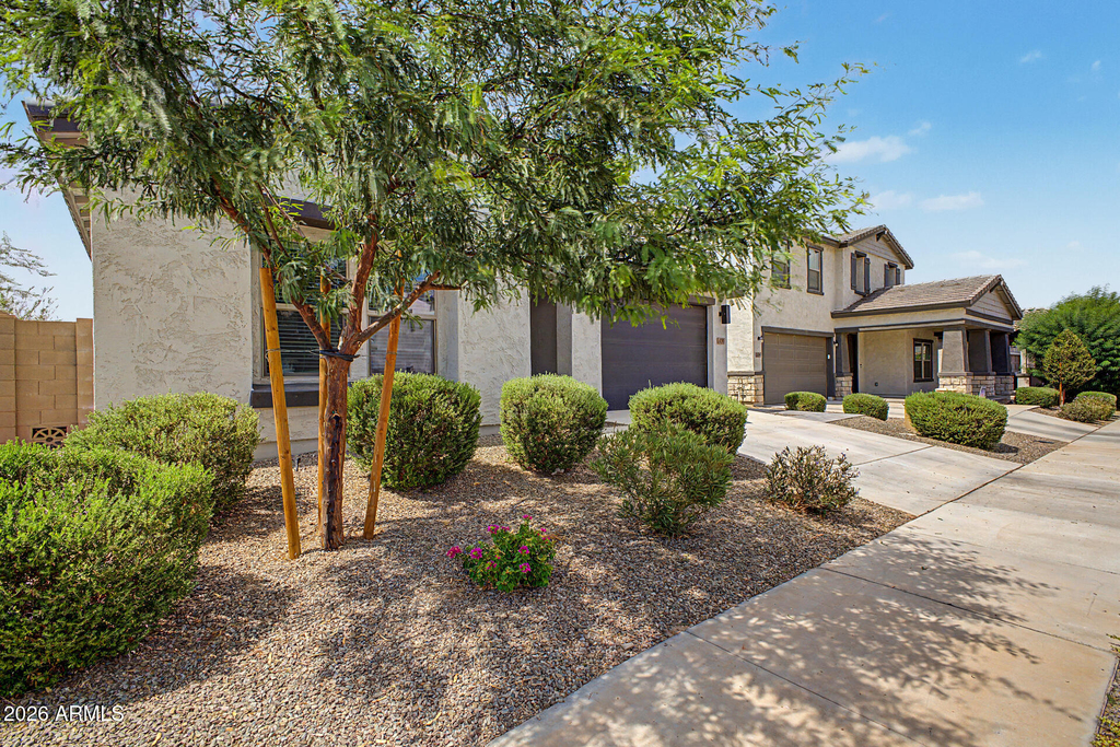 42385 W Rojo Street - Photo 11