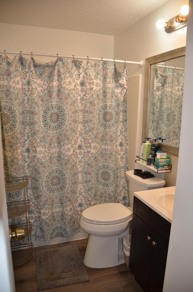 253 Cypress Point Drive - Photo 8