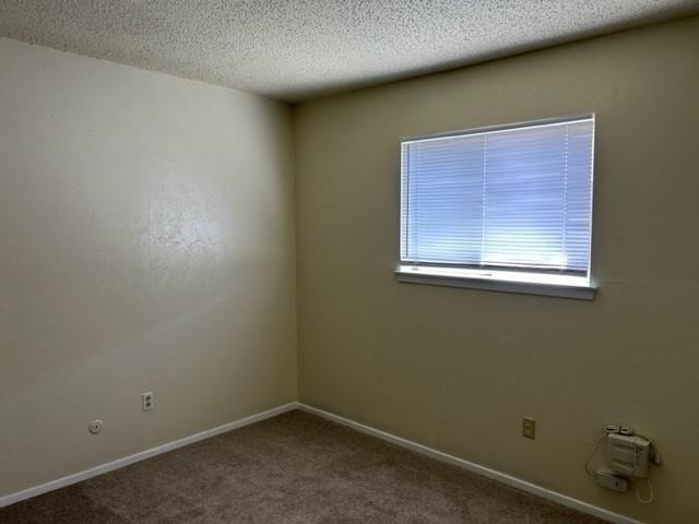 1226 Crescent Street - Photo 12