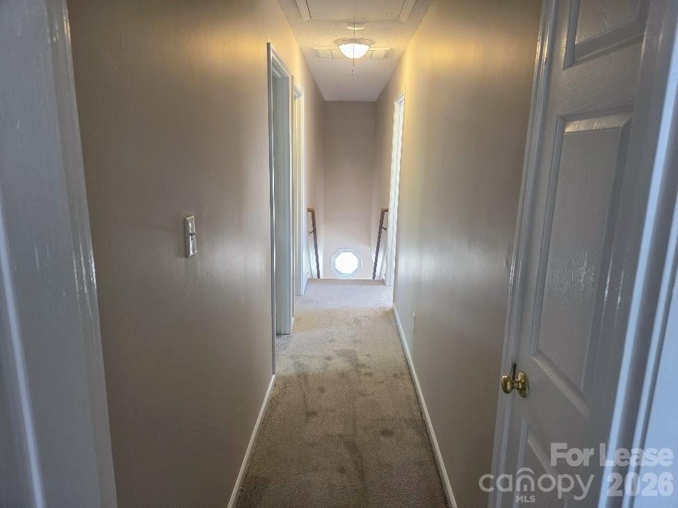 5325 Timbertop Lane - Photo 16