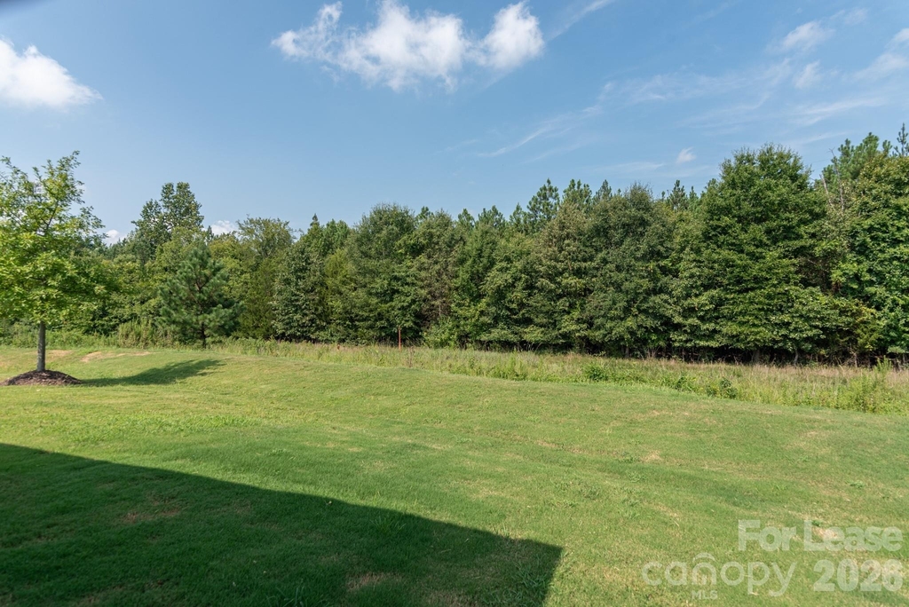 12441 Stoneybrook Station Parkway - Photo 22