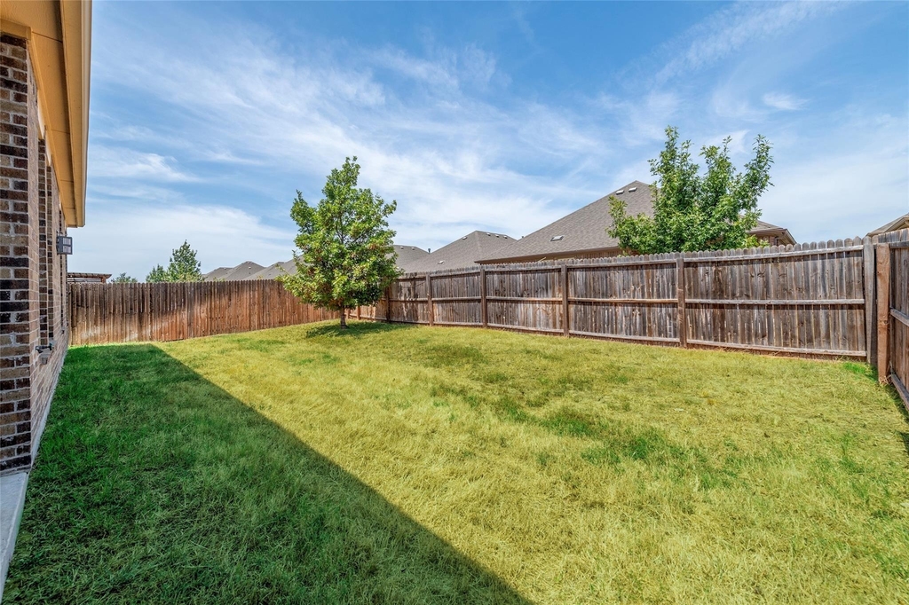 10917 Blaze Street - Photo 27
