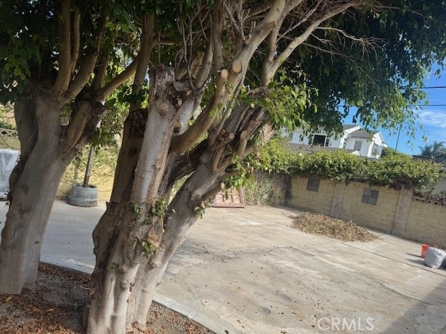 34792 Doheny - Photo 15
