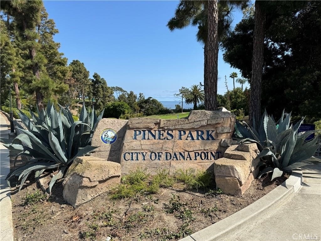 34792 Doheny - Photo 4