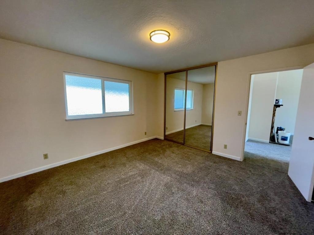 1625 Palmetto Avenue - Photo 5