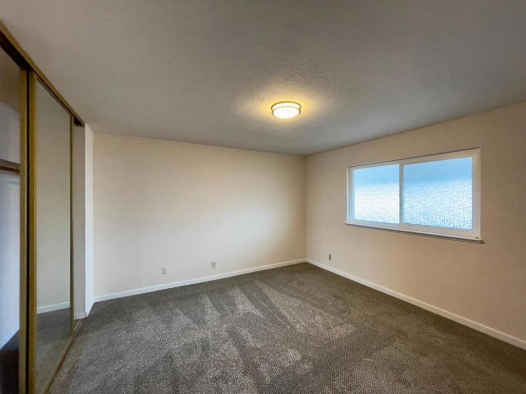 1625 Palmetto Avenue - Photo 4