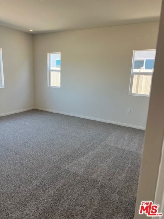 7323 Chetco River Street - Photo 9