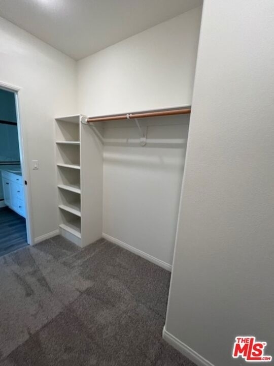 7323 Chetco River Street - Photo 12