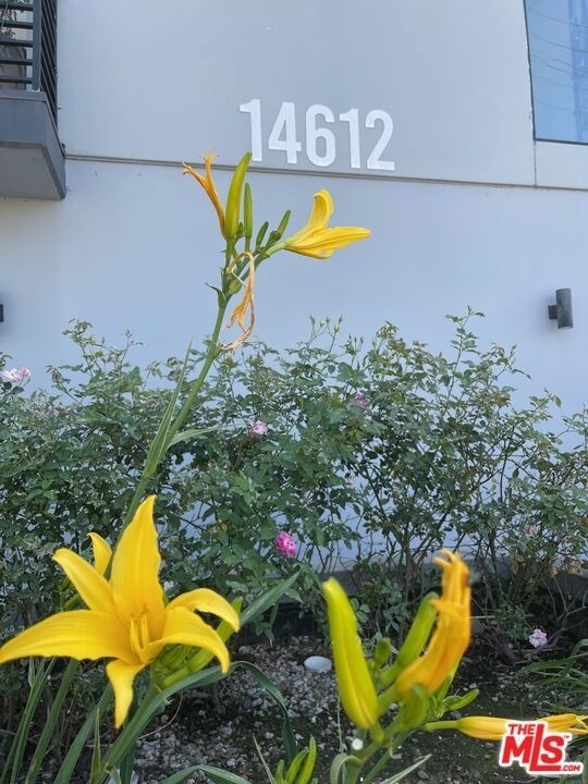 14612 Calvert Street - Photo 28
