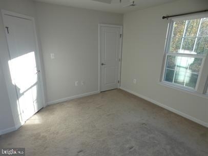 6304 Crittenden Lane - Photo 20