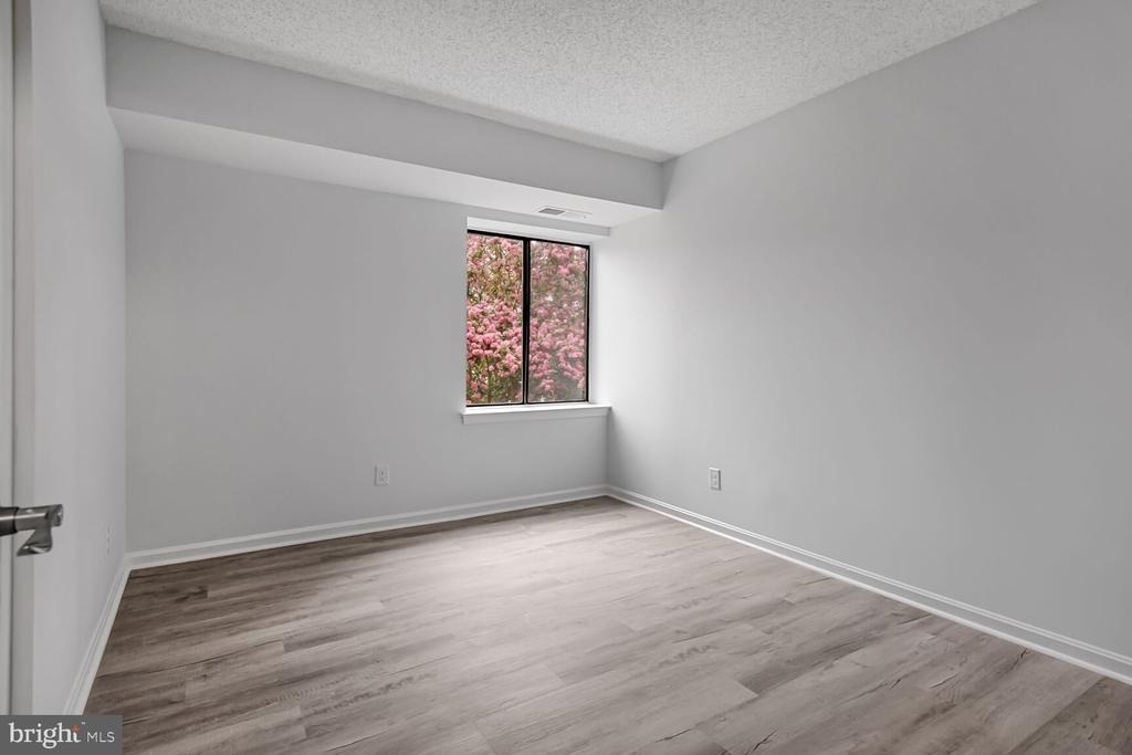 10223 Valentino Drive - Photo 17