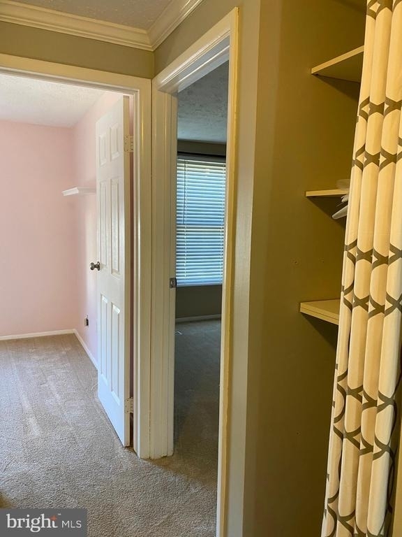 1666 Barnstead Drive - Photo 28