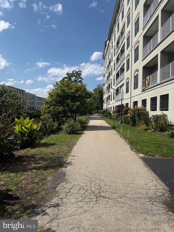 4 Leverington Avenue - Photo 6