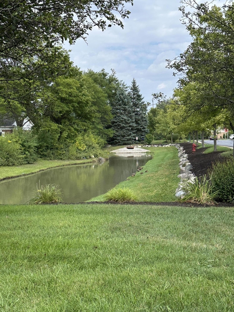 44539 N Heather Lane - Photo 2