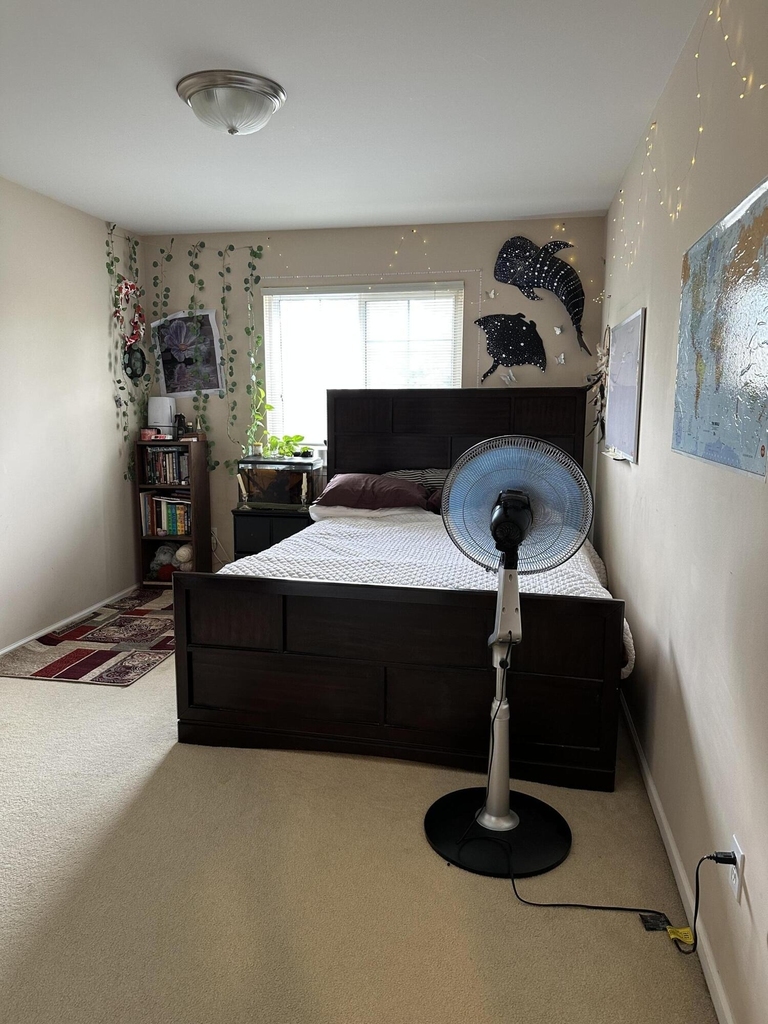 44539 N Heather Lane - Photo 19