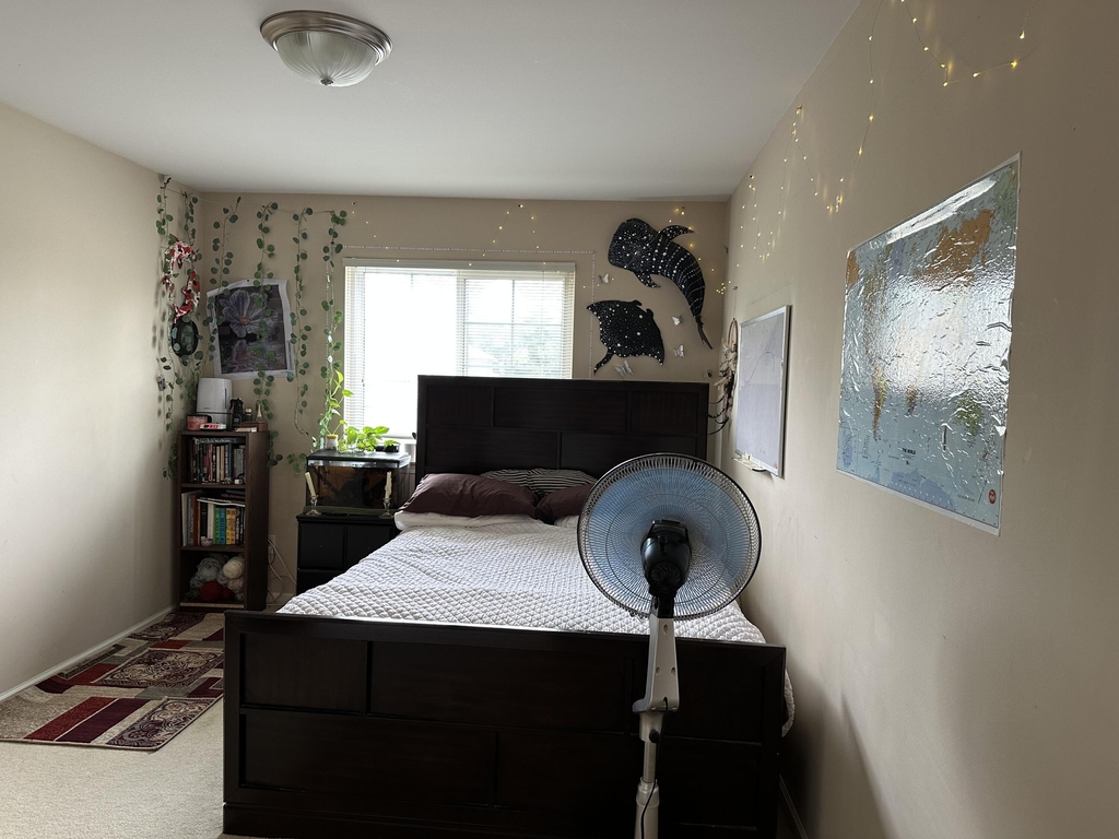 44539 N Heather Lane - Photo 20