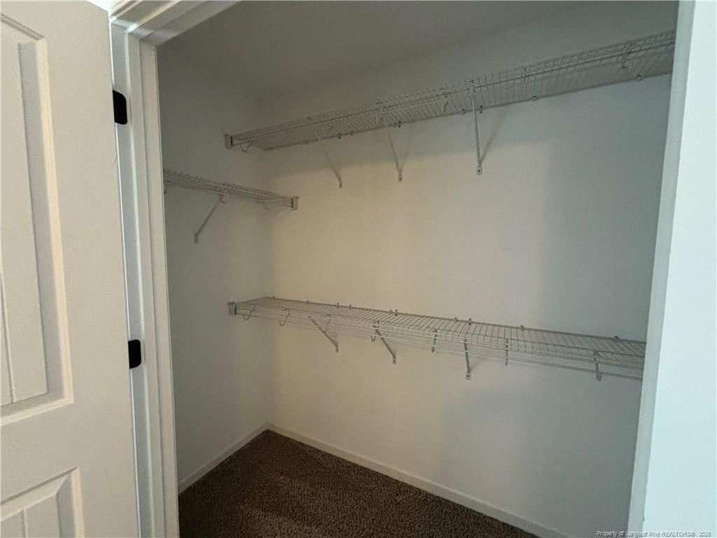 3110 Horsepen Branch - Photo 21
