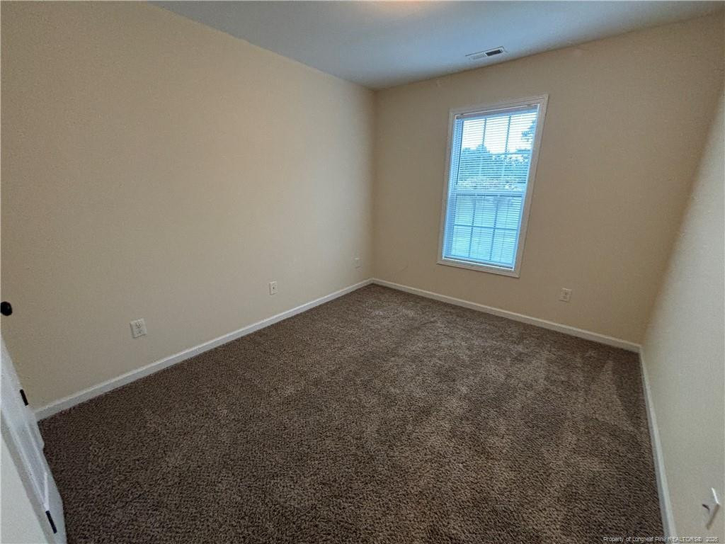 3110 Horsepen Branch - Photo 13
