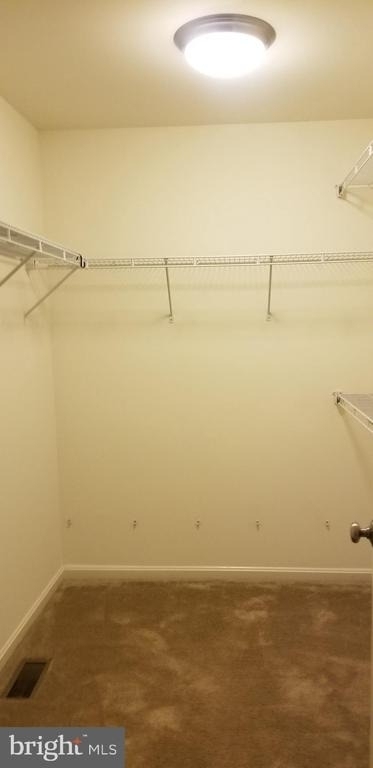 1826 Cassandra Drive - Photo 24