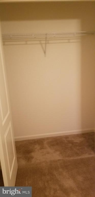 1826 Cassandra Drive - Photo 14