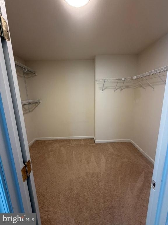 172 Abigail Lane - Photo 15