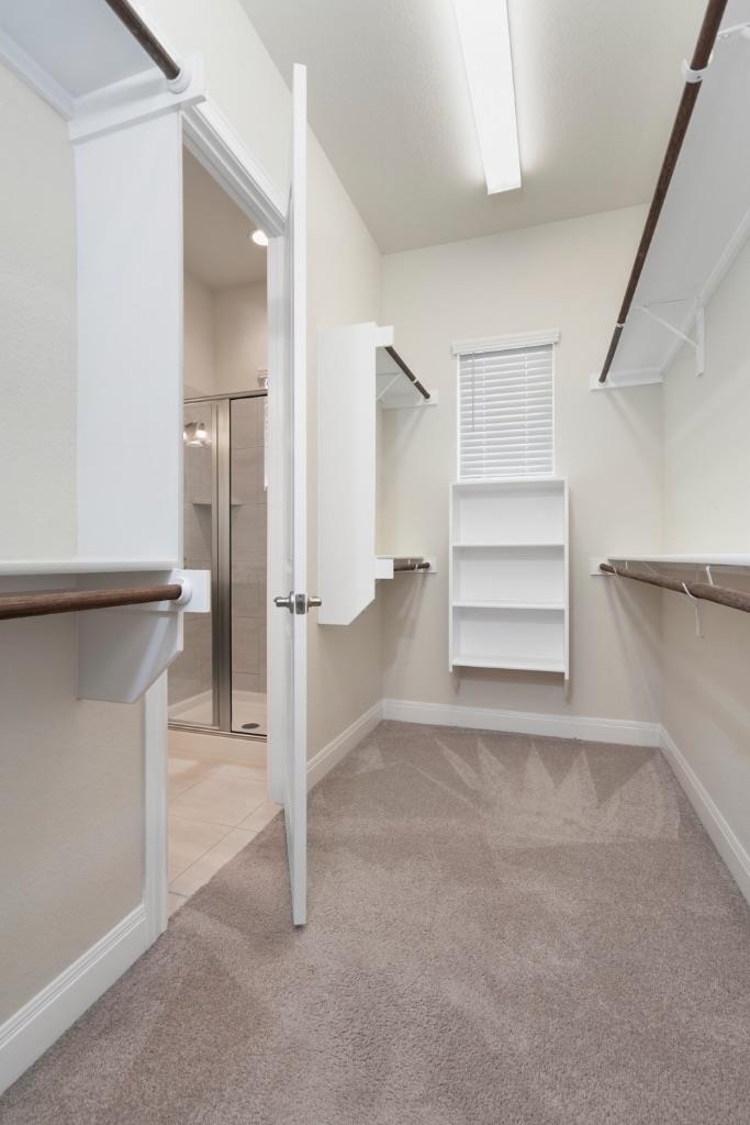 3805 Wales Ct - Photo 14