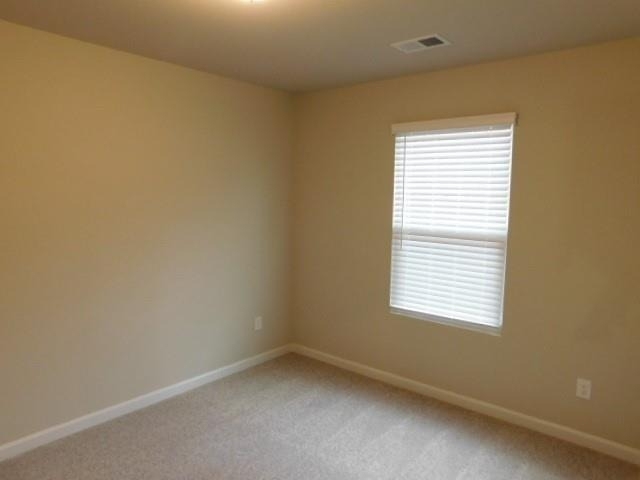 343 Indian Lake Trail - Photo 10