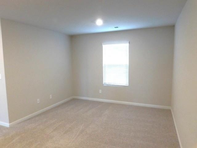 343 Indian Lake Trail - Photo 14