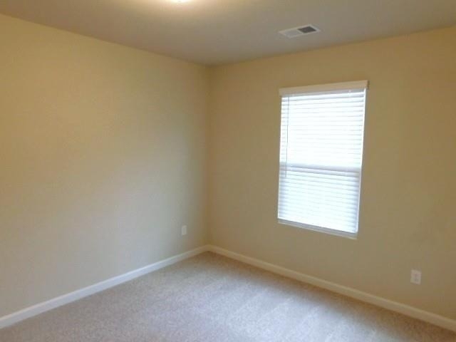 343 Indian Lake Trail - Photo 16