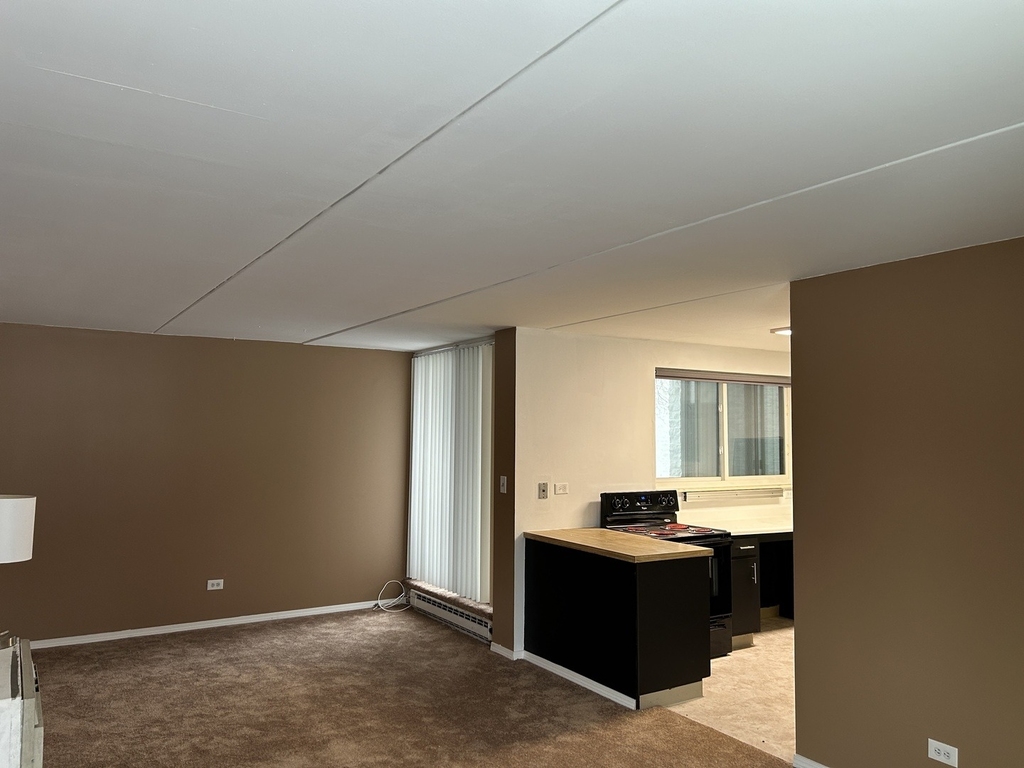 366 W Miner Street - Photo 3