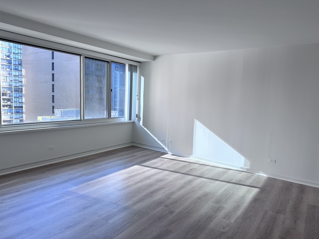 211 E Ohio Street - Photo 9