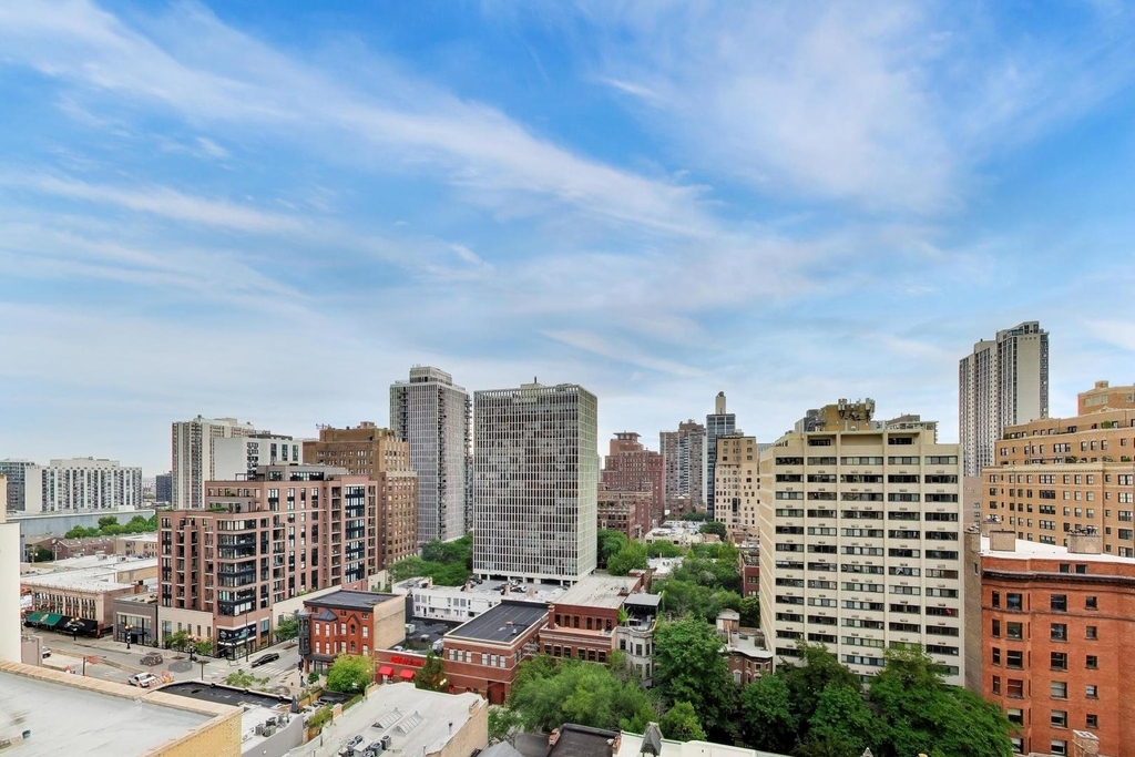 30 E Elm Street - Photo 10