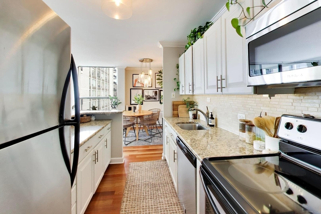 1460 N Sandburg Terrace - Photo 9