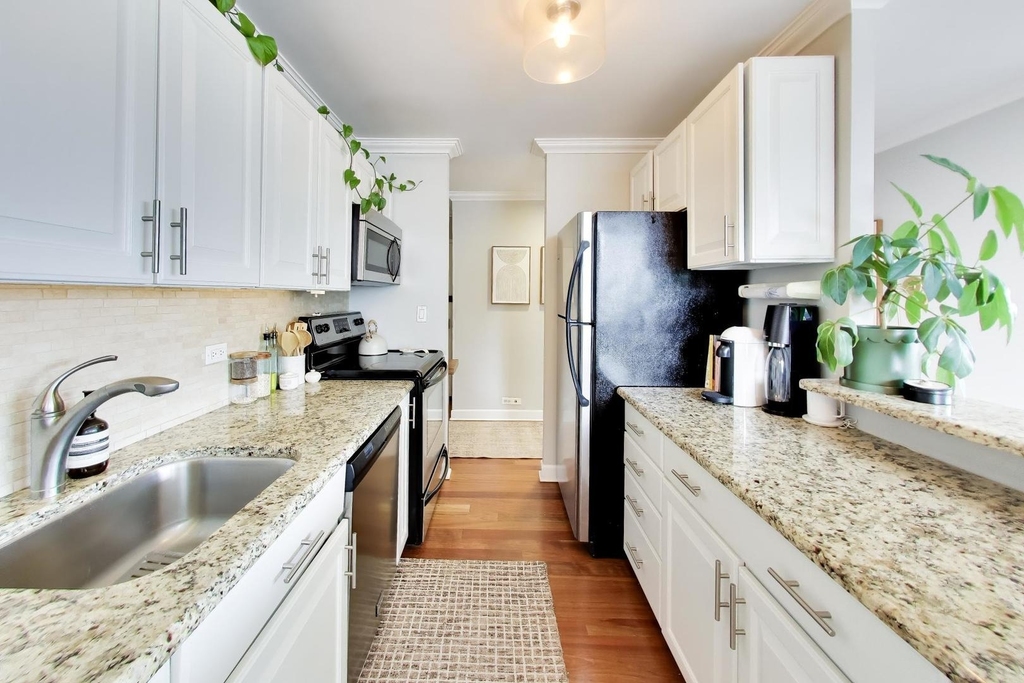 1460 N Sandburg Terrace - Photo 8