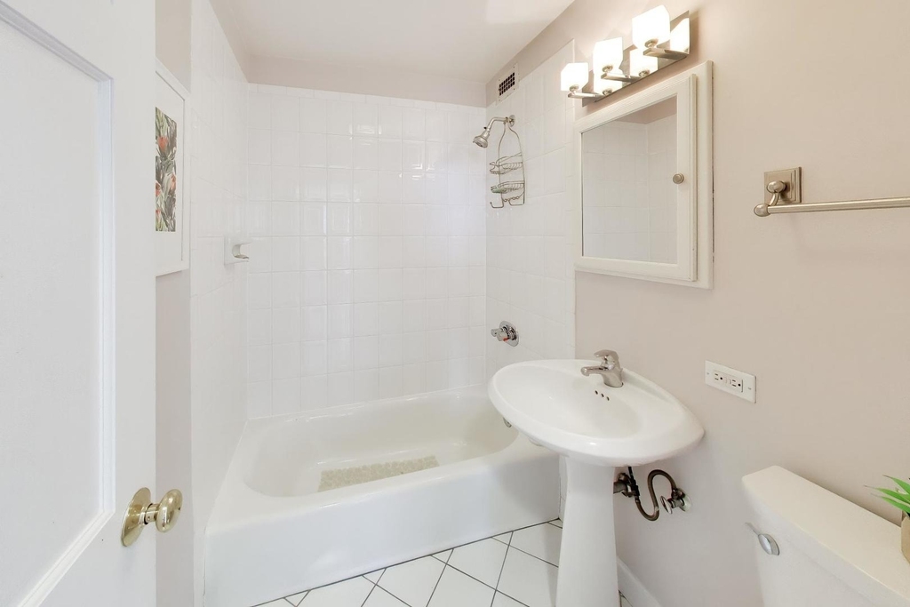 1460 N Sandburg Terrace - Photo 12