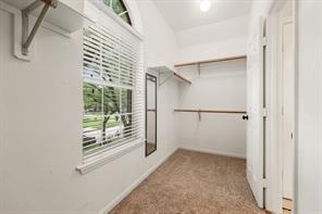 4030 Harwood Drive - Photo 13