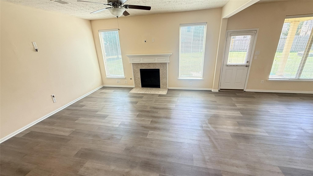20603 Summer Retreat Lane - Photo 3