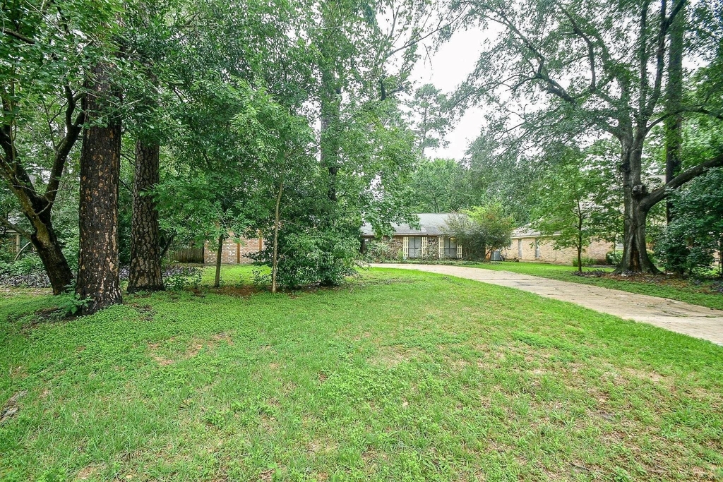6702 Spring Leaf Drive - Photo 4