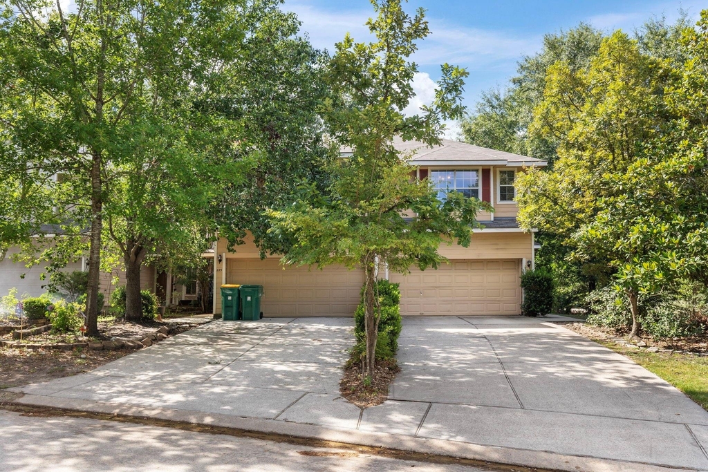 229 E Summerhaze Circle - Photo 1