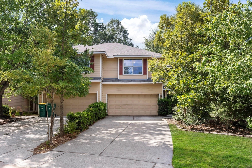 229 E Summerhaze Circle - Photo 0