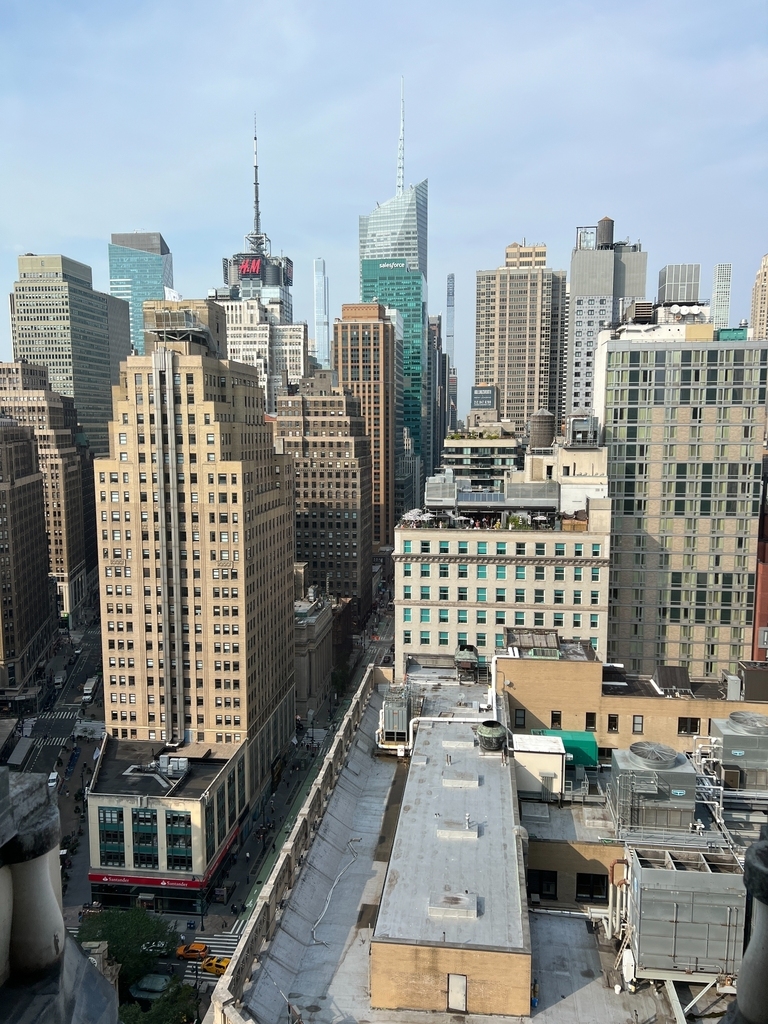 West 34th Street (5TH AVE & BROADWAY) - Photo 4