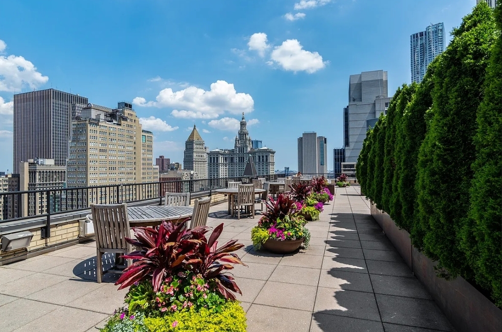 50 Murray Street - Photo 3