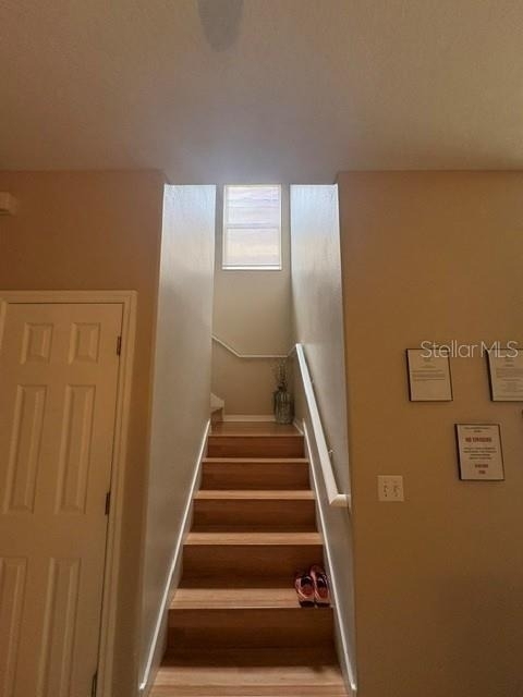 6547 Black Mangrove Drive - Photo 6