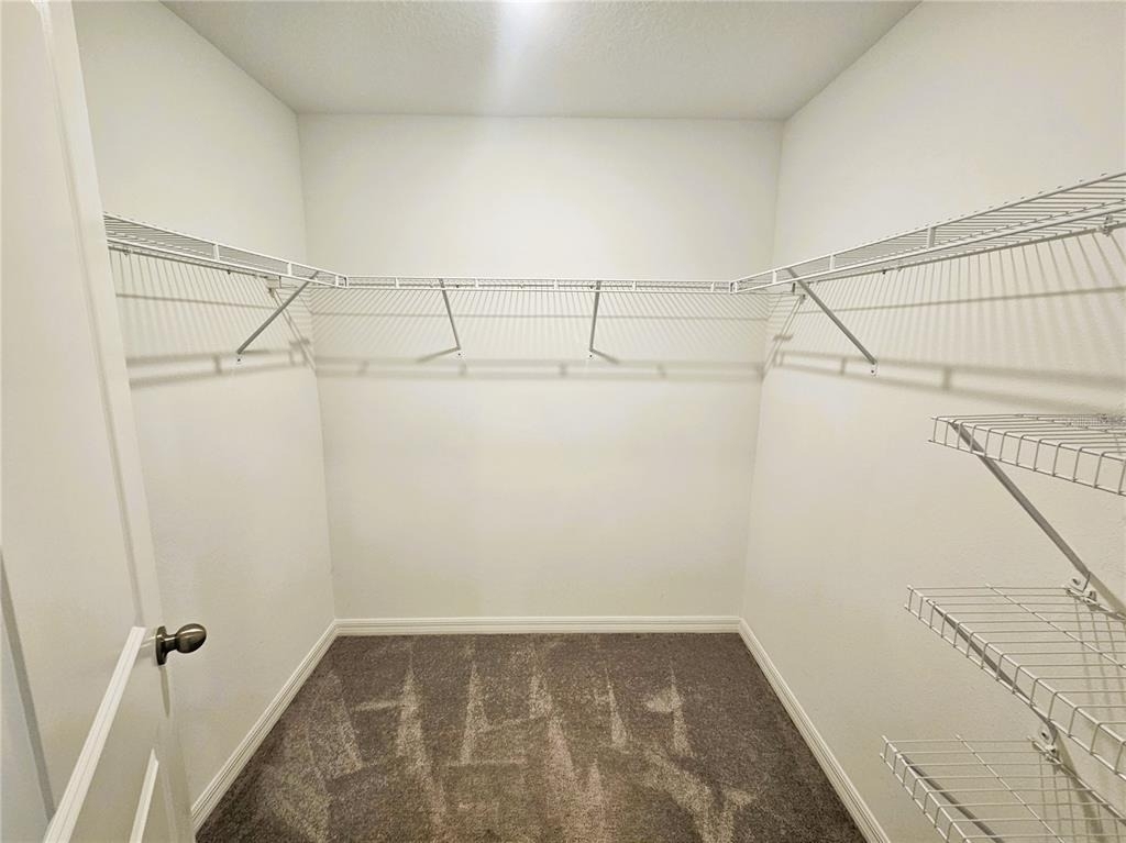 13251 Dupree Hills Place - Photo 19