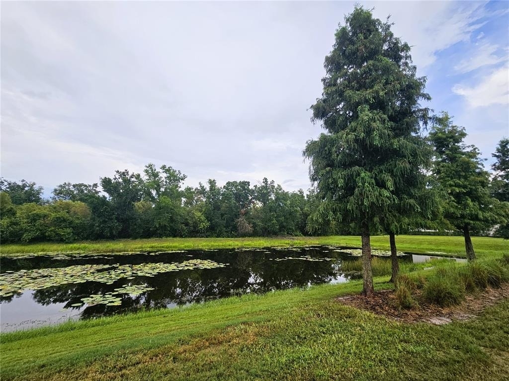 13251 Dupree Hills Place - Photo 36